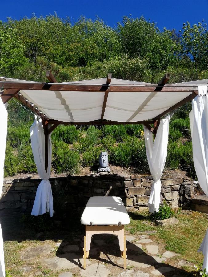 Le Ginestre Guesthouse Assisi Eksteriør bilde