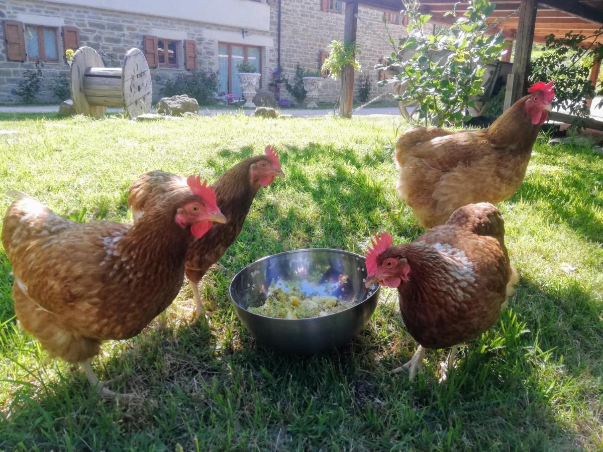 Le Ginestre Guesthouse Assisi Eksteriør bilde