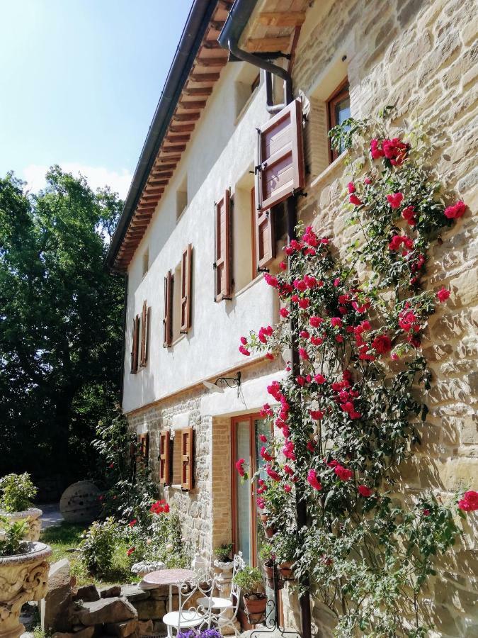 Le Ginestre Guesthouse Assisi Eksteriør bilde